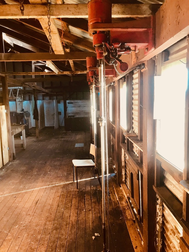 sunbeam shearing plant Livestock Equipment Shearing Equipment